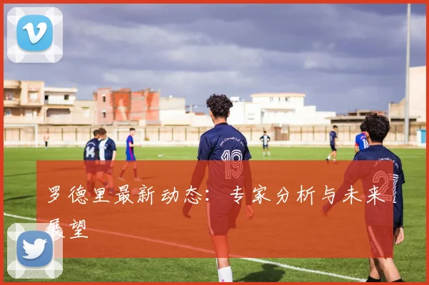 罗德里最新动态:专家分析与未来展望